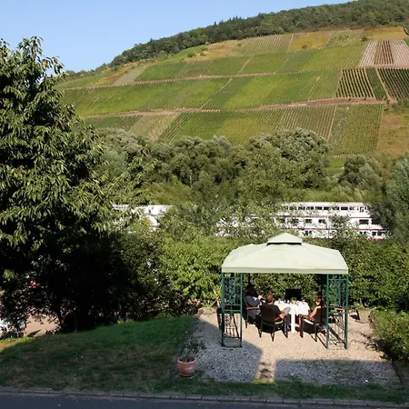 Ferienwohnung „Schwalbennest“ Reil/Mosel Exterior photo